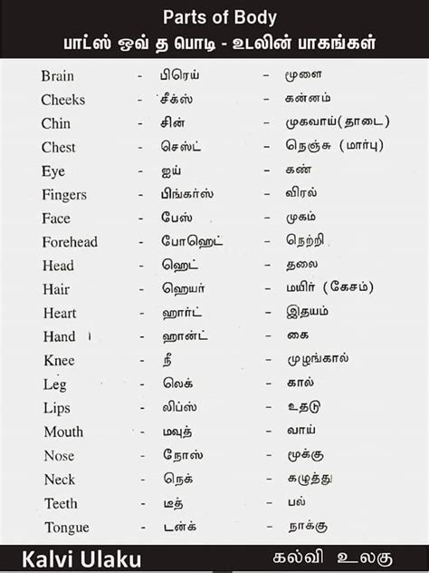 fingering meaning in tamil|English to Tamil Meaning of fingering .